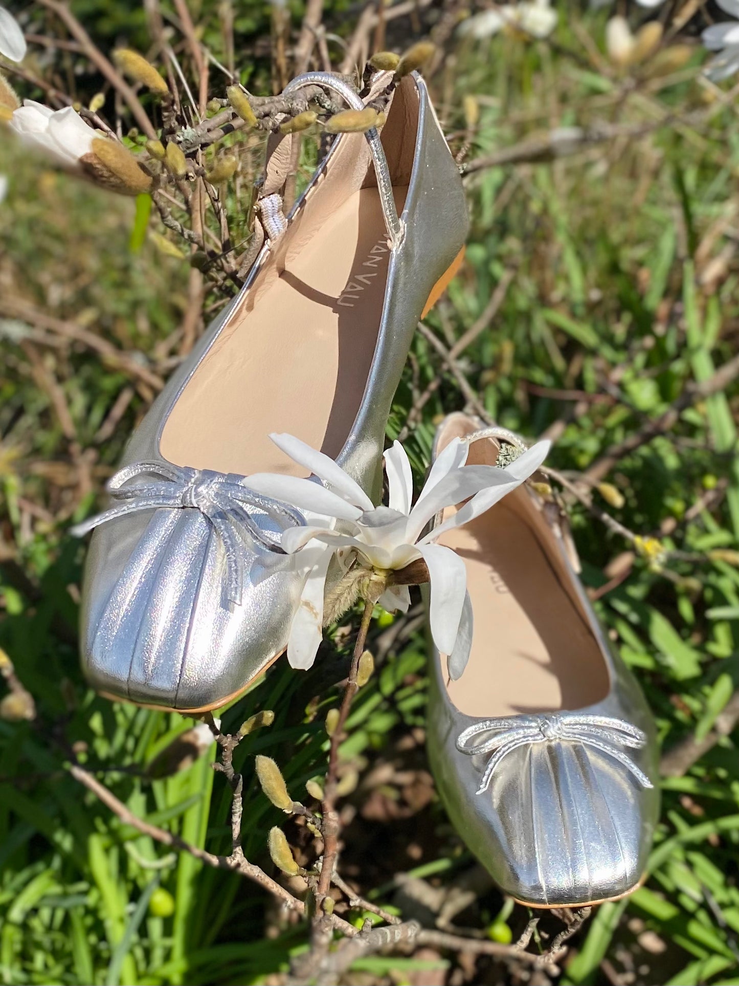 Silver Ballerinas