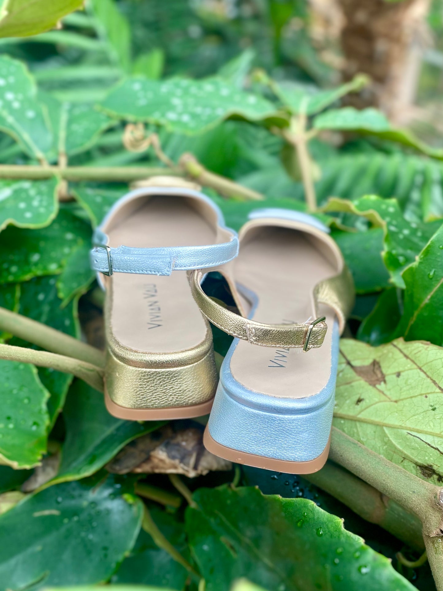 Sun and Moon Slingbacks