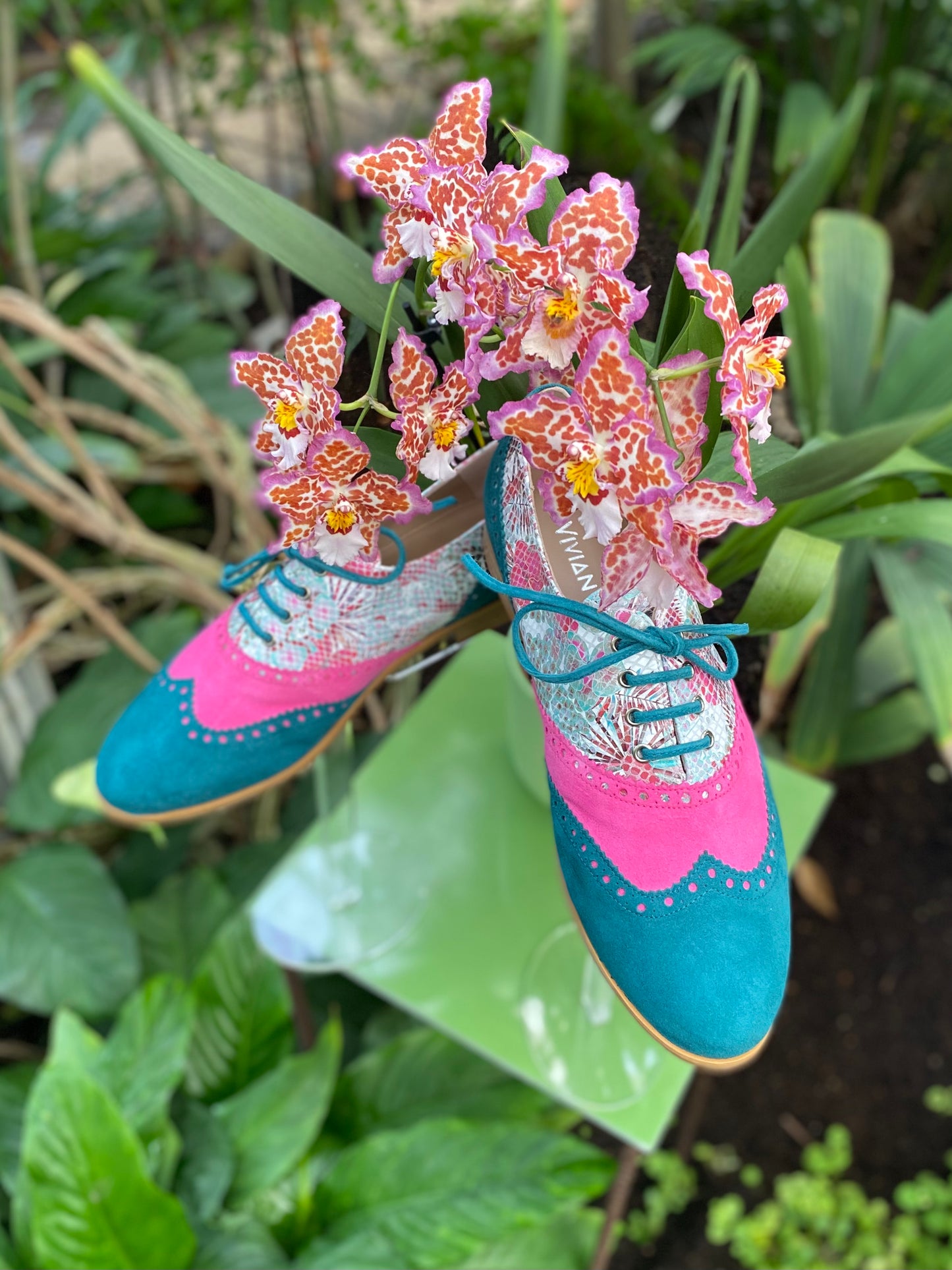 Orchid Oxfords