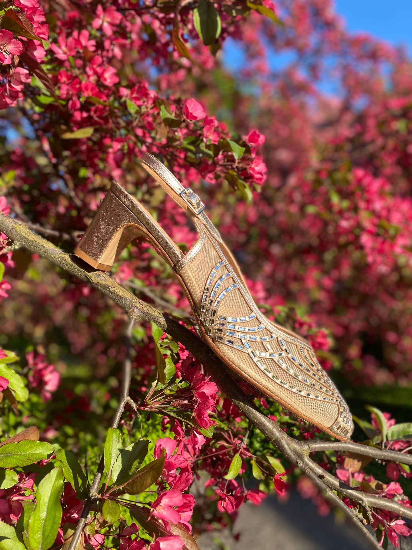 Sparkling Slingbacks