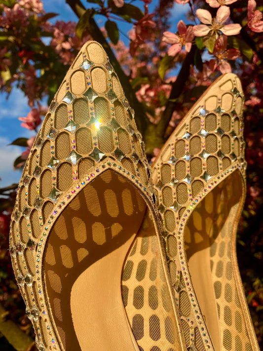 Cinderella Crystal Shoe in Nude