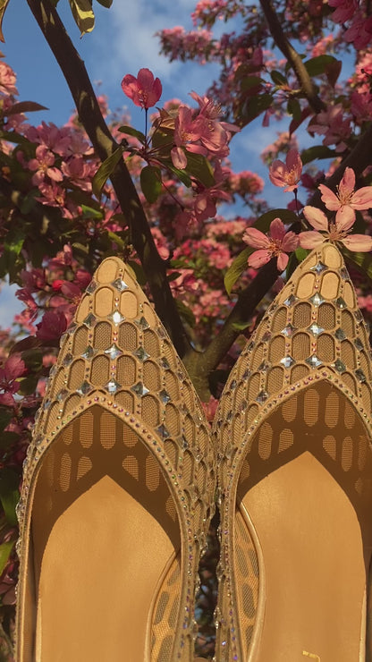 Cinderella Crystal Shoe in Nude